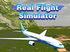 Spel Echte Vliegsimulator online