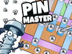 Spel Pin Meester online