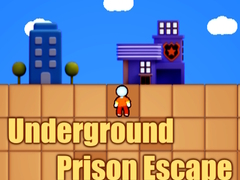 Spel Ontsnapping uit de ondergrondse gevangenis online