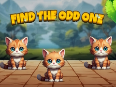 Spel Vind de vreemde online