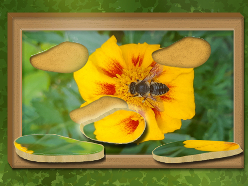 Spel Find & Restore: Hidden Puzzle online