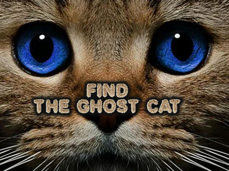 Spel Vind de spookkat online