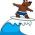 Surfen Surfen online