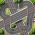 Circuitracen Circuitracen online