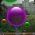 Bubbels  online