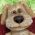 Hond Hond online