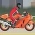 Motorracen  online