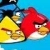 Boze vogels  online